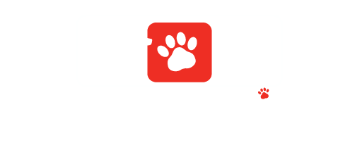 American Veterinary Clinic